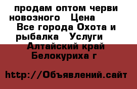 продам оптом черви новозного › Цена ­ 600 - Все города Охота и рыбалка » Услуги   . Алтайский край,Белокуриха г.